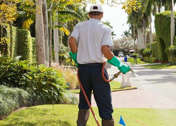 About Riverside UT Pest Control Pros